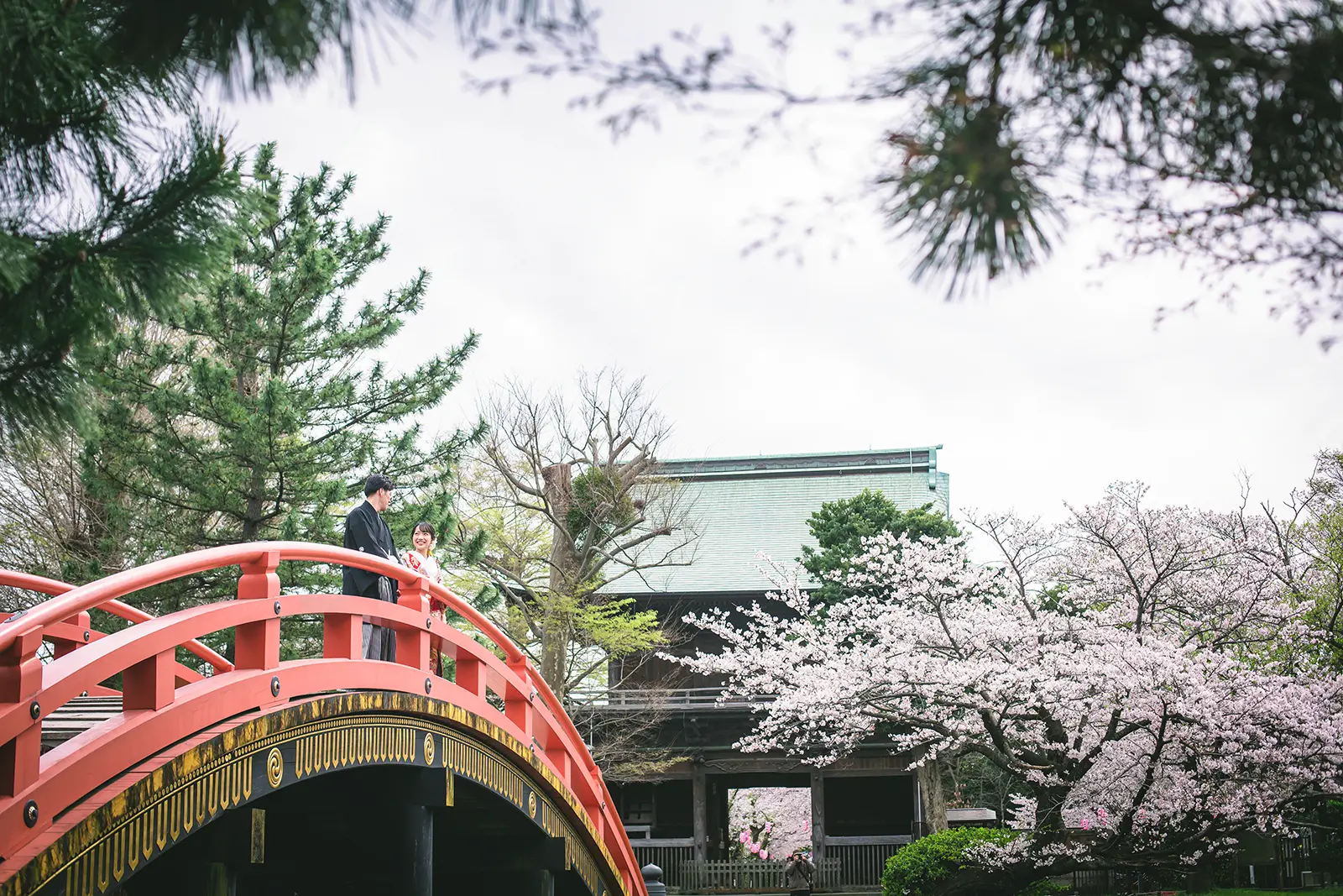 横浜・称名寺の朱色の太鼓橋の上に立つ和装の新郎新婦。背景には歴史を感じさせる重厚な門と満開の桜が広がり、春の風情あふれるフォトウェディング。